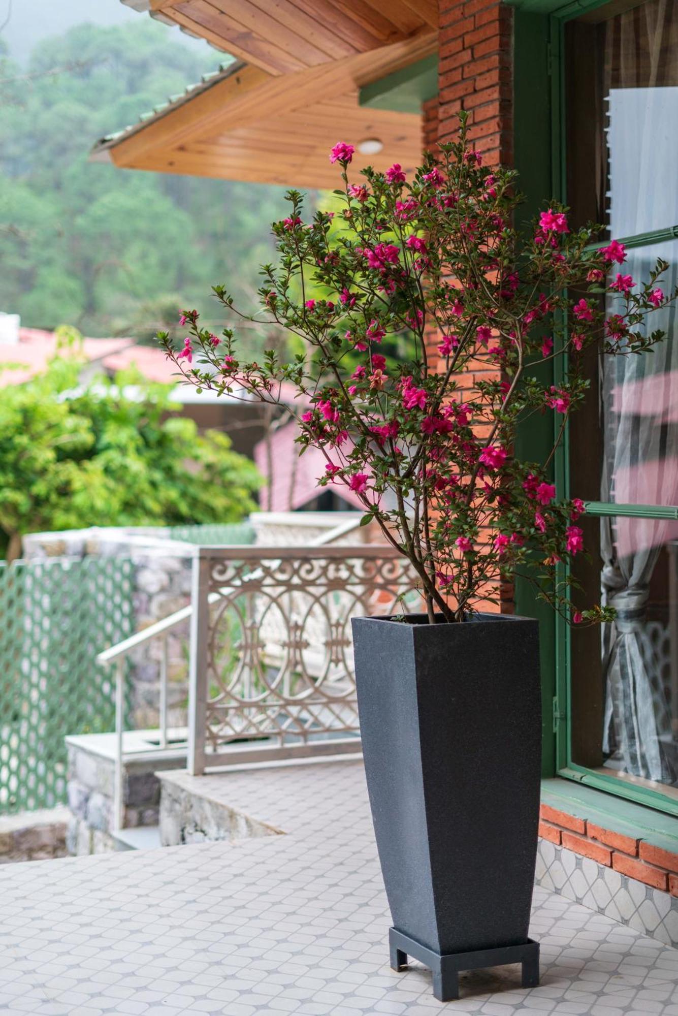 Casa Bhimtal Villa Exteriör bild